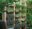 Creer Un Jardin Charmant Schauen Sie Wie Viele Pflanzen In Sen Vertikalen Garten