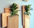 Creer Un Jardin Inspirant Décoration Murale Bois   Faire soi Mªme – 20 Idées Créatives