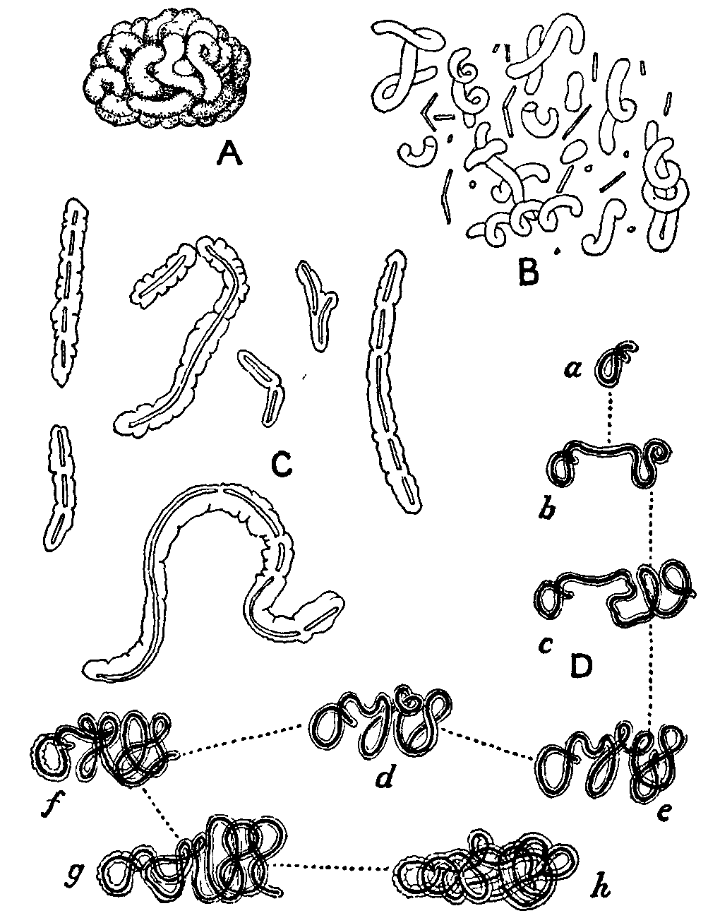 Créer Un Jardin Paysager Élégant the Encyclop¦dia Britannica Volume Iii Part 1 Slice 2