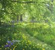 Créer Un Jardin Paysager Frais 595 Best Pathways and Portals Images In 2020