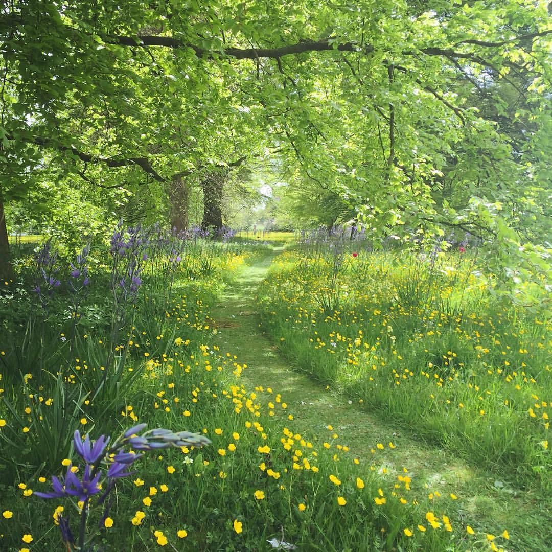 Créer Un Jardin Paysager Frais 595 Best Pathways and Portals Images In 2020