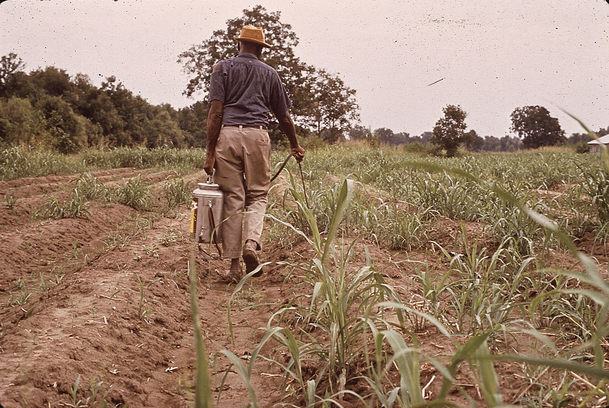 1200px SPRAYING PESTICIDES NARA cropped