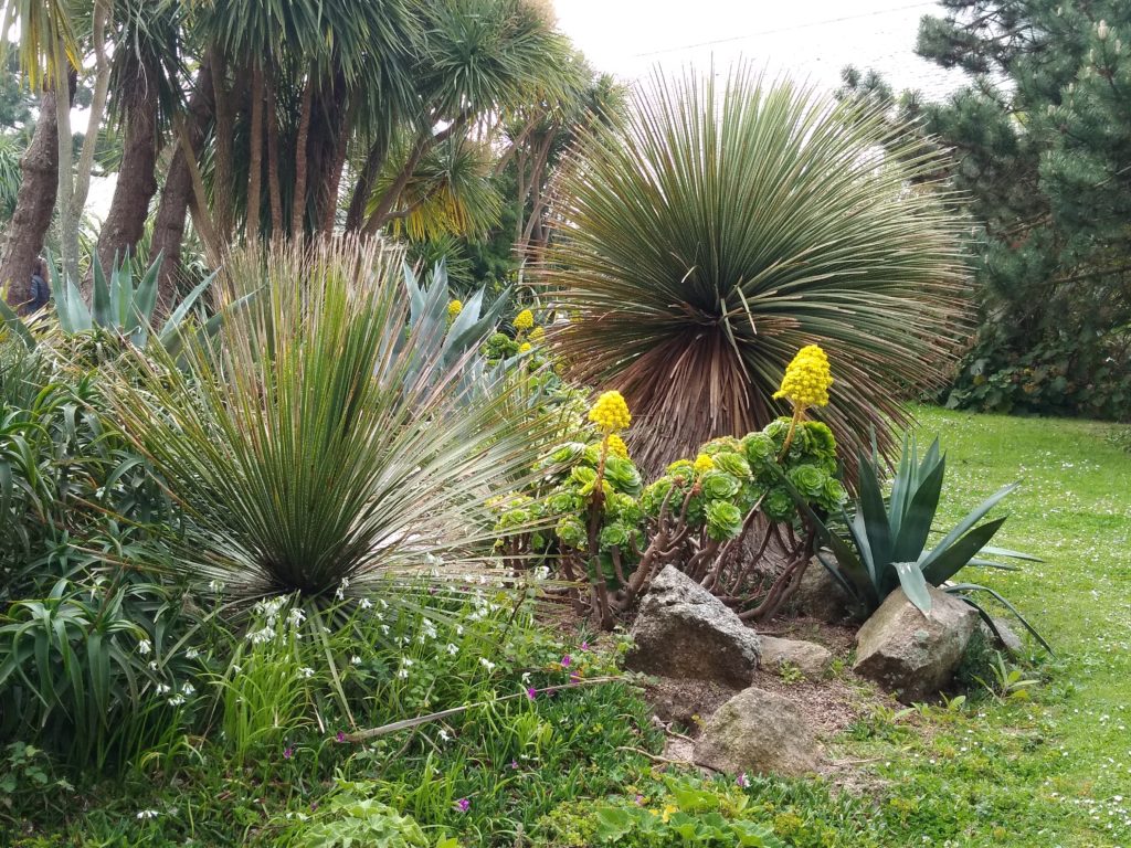 Créer Un Jardin Paysager Génial Visites Ou