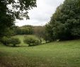 Créer Un Jardin Paysager Nouveau Le Biotope Du Ch¢taignier Et De La Foug¨re Aigle