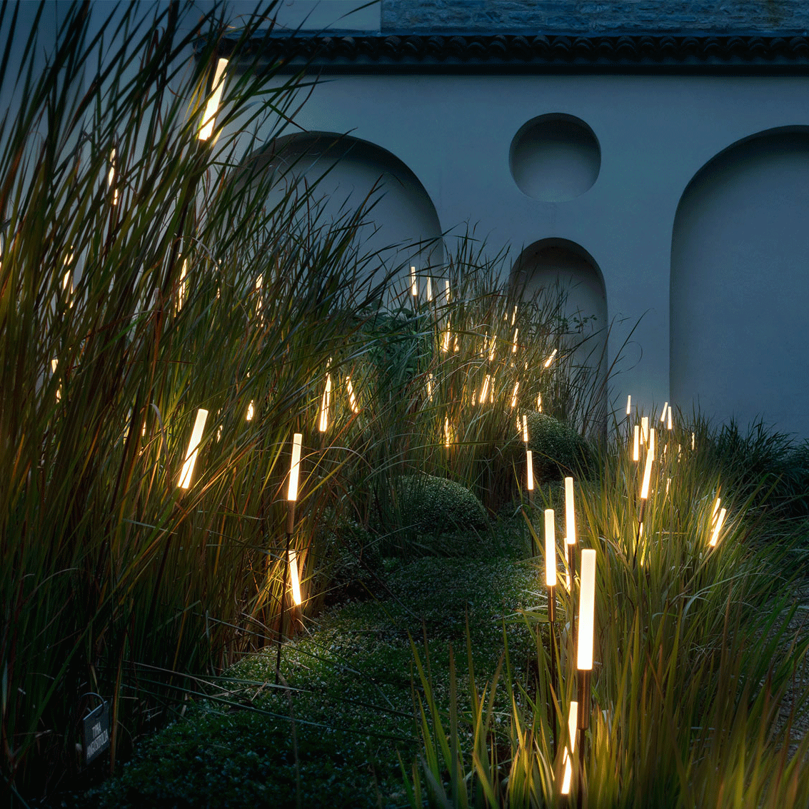 Créer Un Mini Jardin De Plantes Grasses Frais 184 Best Lighting Images In 2020