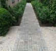 Dallage Jardin Inspirant Tuin Van Christine Op Tuin In 2020