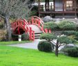 Deco Terrasse Bois Best Of 26 Charmant Amenagement Salon De Jardin