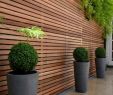 Deco Terrasse Bois Génial écran Et Cl´ture Aérée – Mur   Lames En Bois