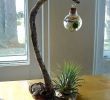 Deco Terrasse Bois Inspirant â64 Favourite Ve Able & Hydroponic Garden Ideas and