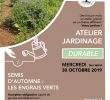 Decorer son Jardin Avec Des Pierres Best Of Sur Le Web Des Jardins Jardinons Ensemble 347 347