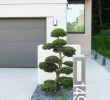 Decorer son Jardin Avec Des Pierres Élégant Un Bonsa¯ Pour Décorer L Entrée Bonsai Entrée Jardin