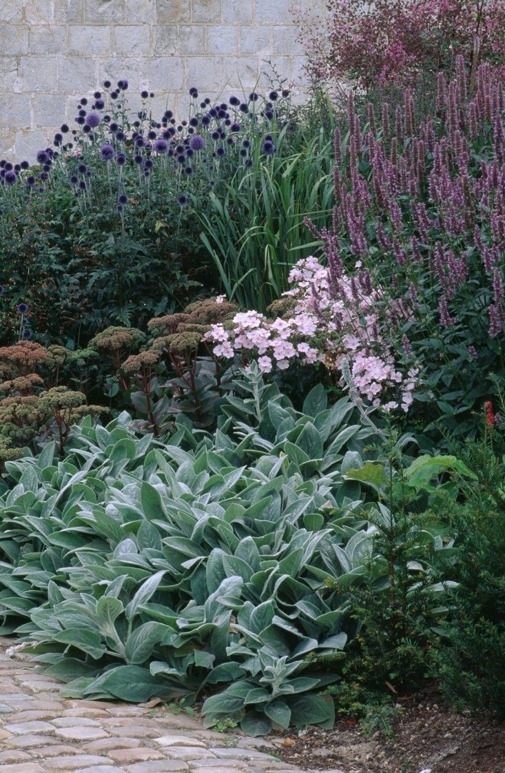 Decorer son Jardin Avec Des Pierres Génial Les 217 Meilleures Images De Jardin Sec Et De Bord De Mer En