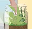 Diy Deco Jardin Best Of How to Grow A Garden In A Bottle with Wikihow