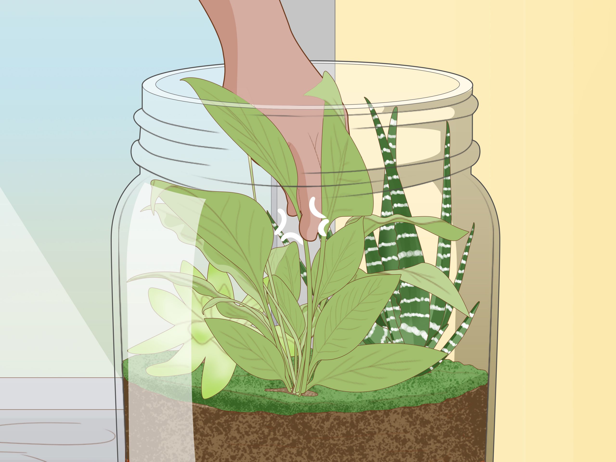 Grow a Garden in a Bottle Step 17