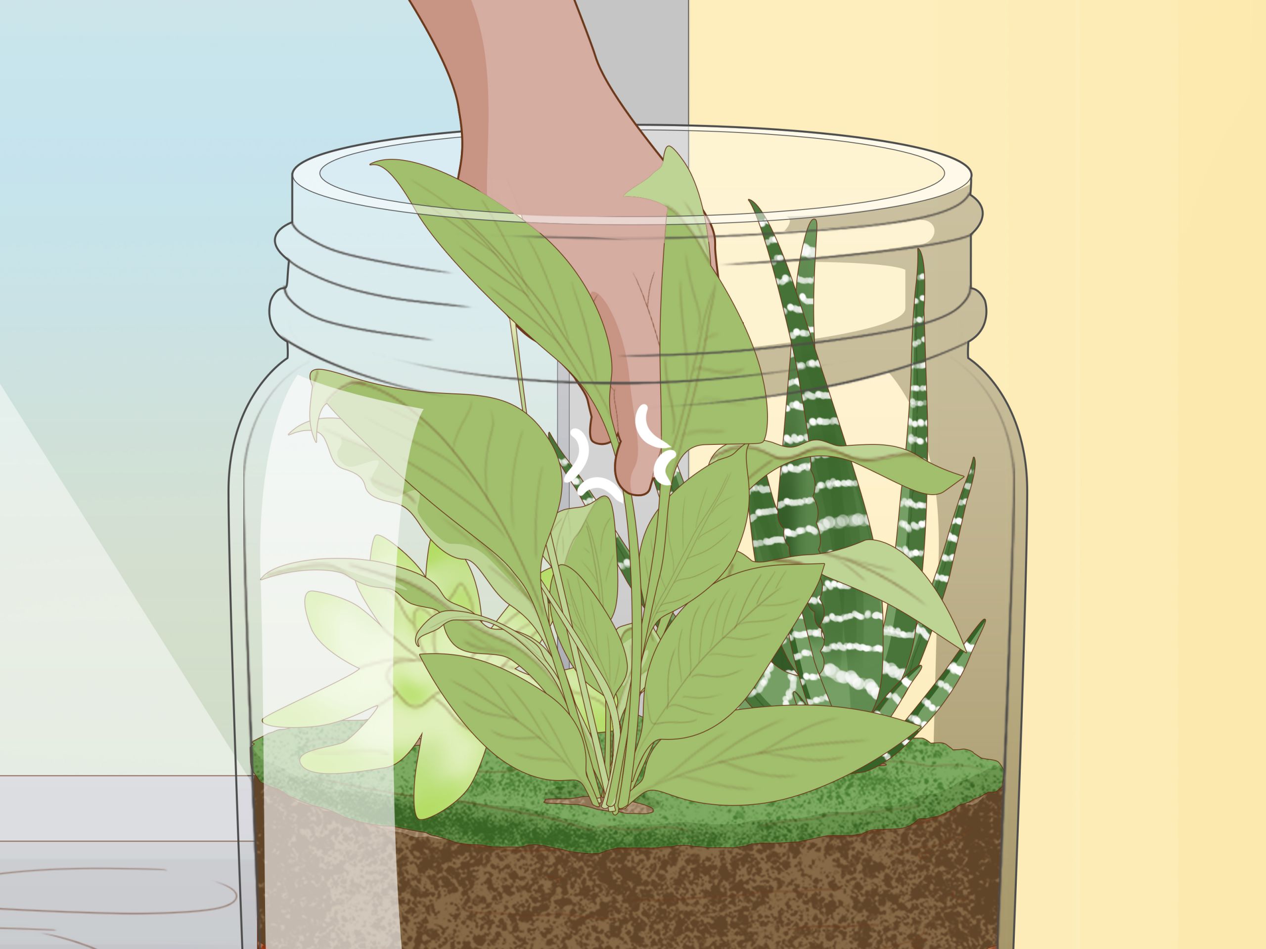 Diy Deco Jardin Best Of How to Grow A Garden In A Bottle with Wikihow