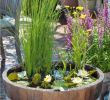 Diy Deco Jardin Élégant Make Your Own Balcony Ideas A Mini Pond In the Pot