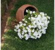 Diy Deco Jardin Nouveau Cascade De Fleurs