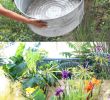 Diy Deco Jardin Nouveau Fuentes De Agua Para Jardin Easy Novo P