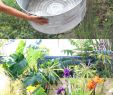 Diy Deco Jardin Nouveau Fuentes De Agua Para Jardin Easy Novo P
