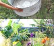 Diy Deco Jardin Nouveau Fuentes De Agua Para Jardin Easy Novo P