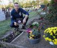 Enterrer son Chat Dans son Jardin Charmant société