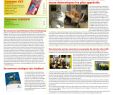 Enterrer son Chat Dans son Jardin Génial Pet & Garden Pro 81 Fr by Invent Media issuu