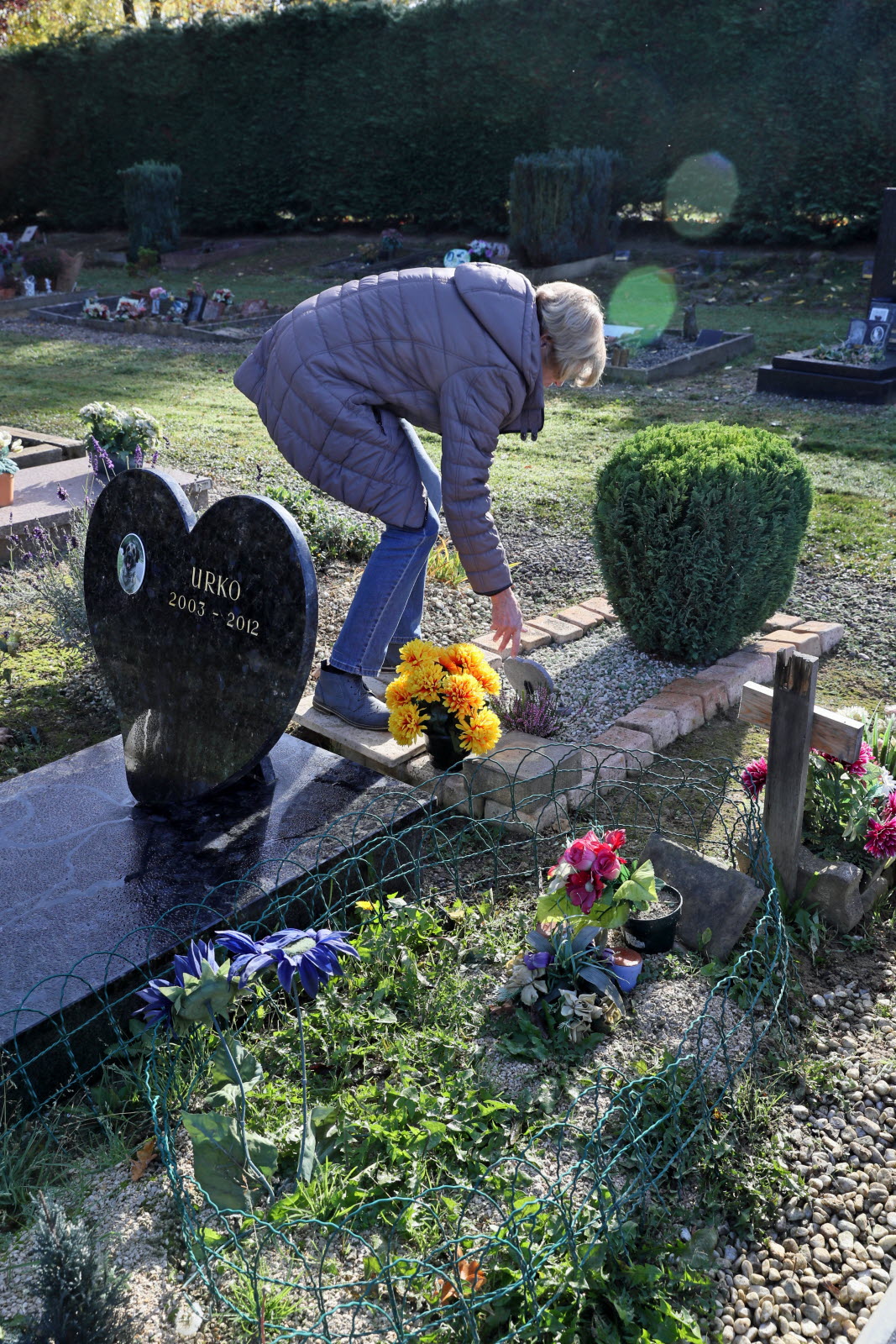 une dame fleurit la tombe de son chien pour la toussaint photo l alsace thierry gachon