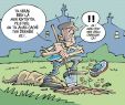 Enterrer son Chat Dans son Jardin Nouveau Edition Metz Et Agglomération