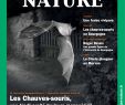 Enterrer Un Animal Dans son Jardin Best Of Calaméo Bourgogne Nature N°24