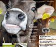 Enterrer Un Animal Dans son Jardin Best Of Revue Ufa 09 19 by Fenaco Genossenschaft issuu