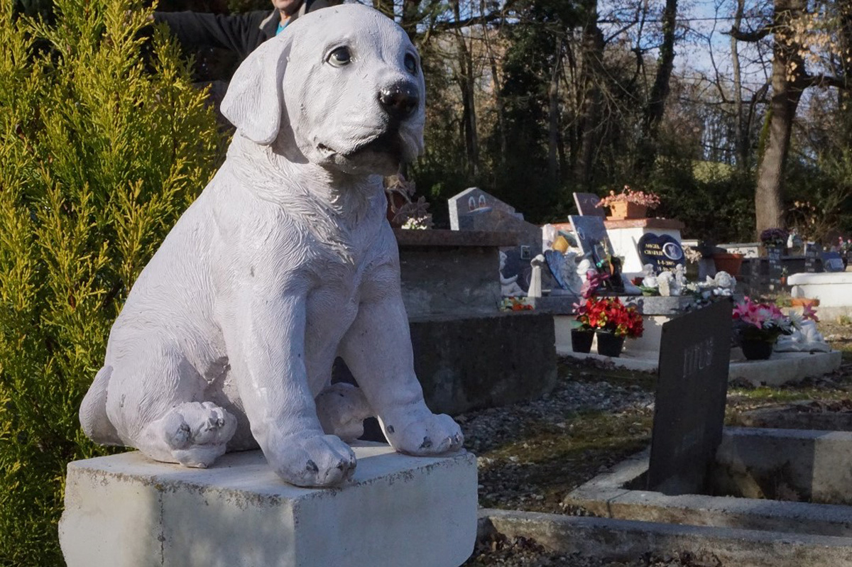 Enterrer Un Animal Dans son Jardin Frais Dans Les Allées D Un Cimeti¨re Pour… Animaux