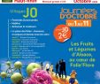 Enterrer Un Animal Dans son Jardin Frais Magazine Spectacles 213 by Magazine Jds issuu