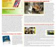 Enterrer Un Animal Dans son Jardin Nouveau Pet & Garden Pro 81 Fr by Invent Media issuu
