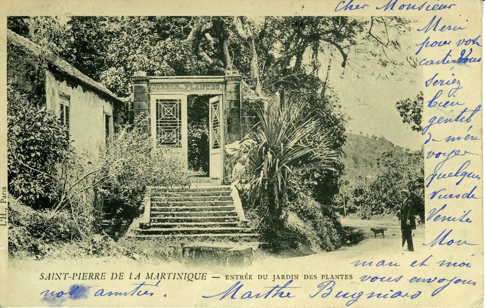 Entrée Jardin D Acclimatation Élégant Les Chroniques D andré Michel Besse Expédié D Outre tombe