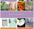 Entretien De Jardin Beau Gardenforbeginners 7 Easy to 7 Easy to Grow Succulents for