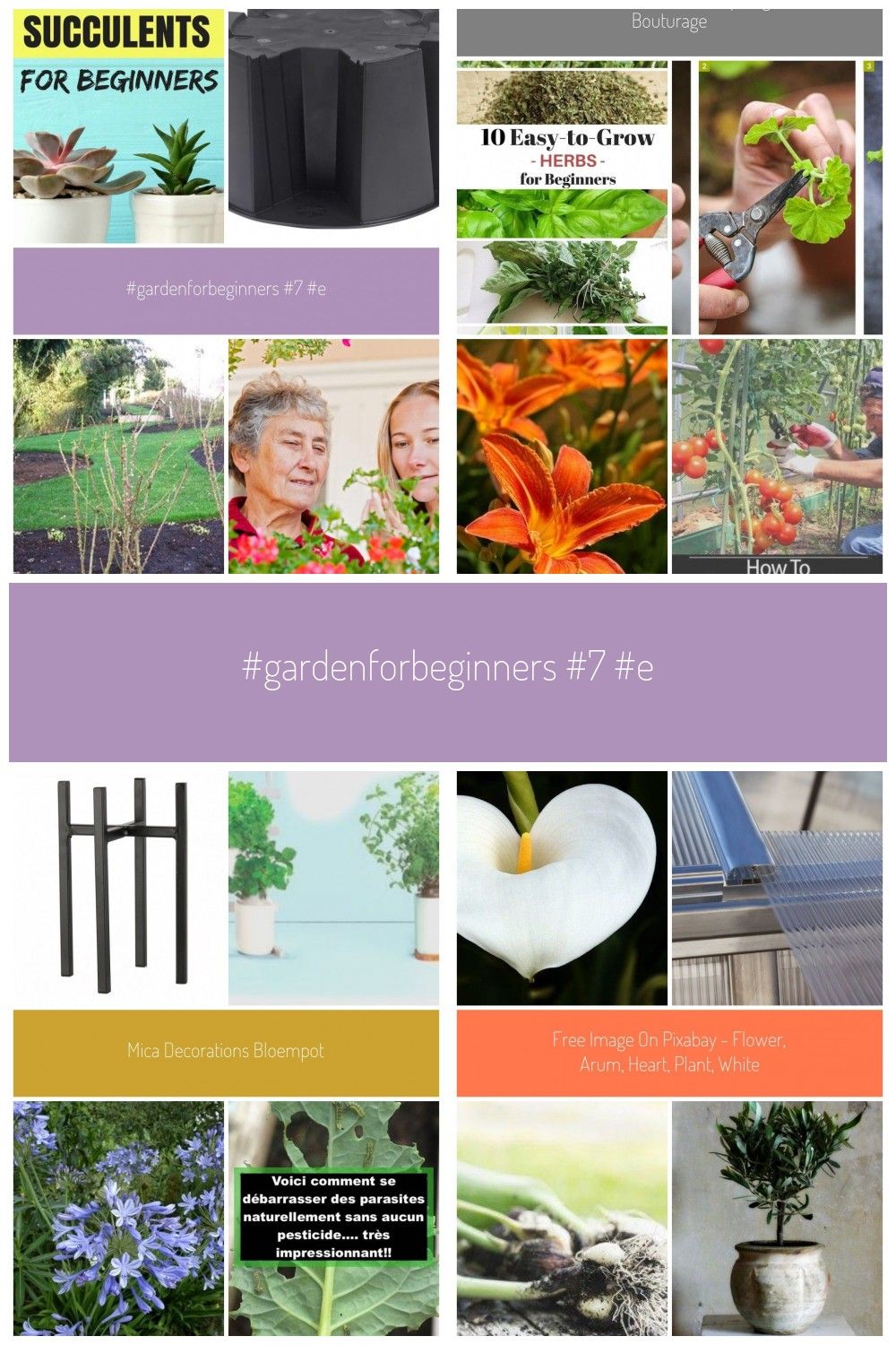 Entretien De Jardin Beau Gardenforbeginners 7 Easy to 7 Easy to Grow Succulents for