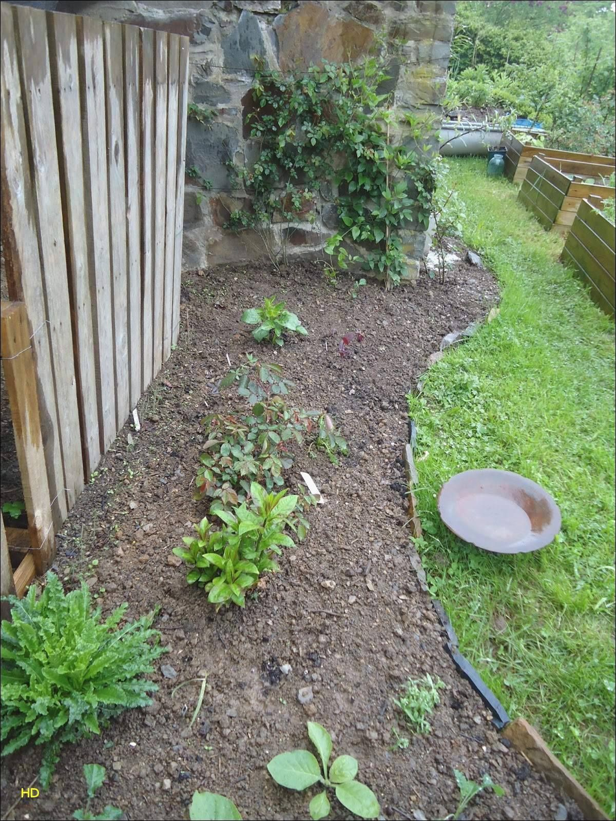 Entretien De Jardin Charmant Entretien Jardin Tarif 60 Unique De Les Jardins Familiaux