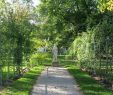 Entretien De Jardin Charmant Entretien Jardin Tarif 60 Unique De Les Jardins Familiaux