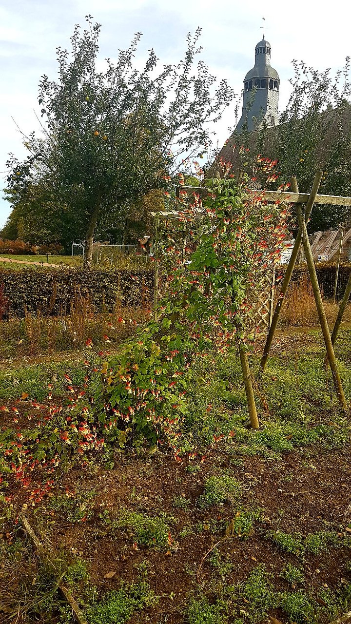 Entretien De Jardin Élégant Le Domaine De L Abbaye Et Ses Jardins thematiques Thiron