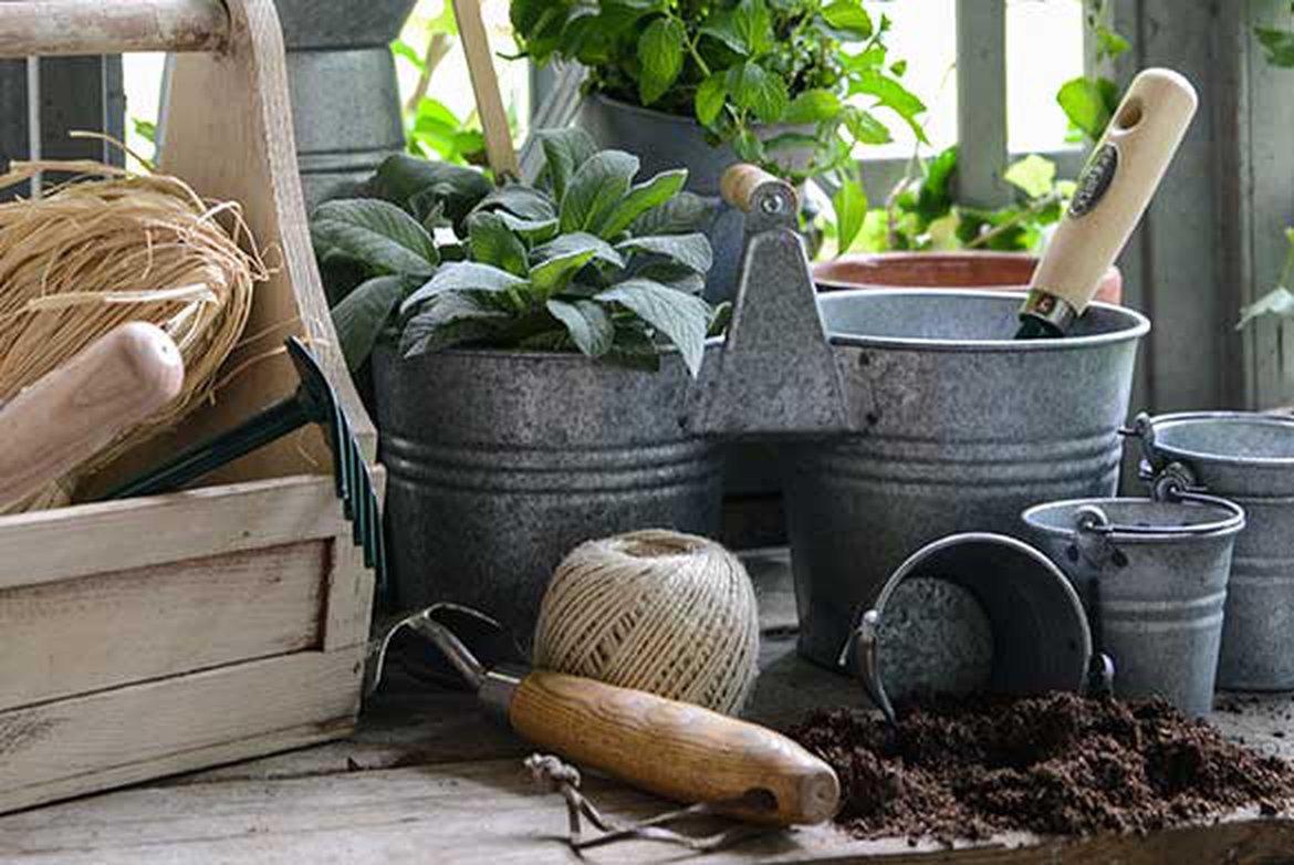 Entretien De Jardin Unique Vente Par Correspondance