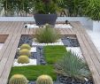 Entretien Jardin Élégant épinglé Sur Intérieur Design