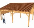 Fabriquer Une Porte En Bois Pour Abri De Jardin Charmant Meilleur De Fabriquer Carport toit Plat Luckytroll