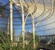 Fabriquer Une Serre De Jardin Pas Cher Beau National Botanic Gardens Dublin 2020 Ce Qu Il Faut