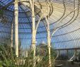 Fabriquer Une Serre De Jardin Pas Cher Beau National Botanic Gardens Dublin 2020 Ce Qu Il Faut