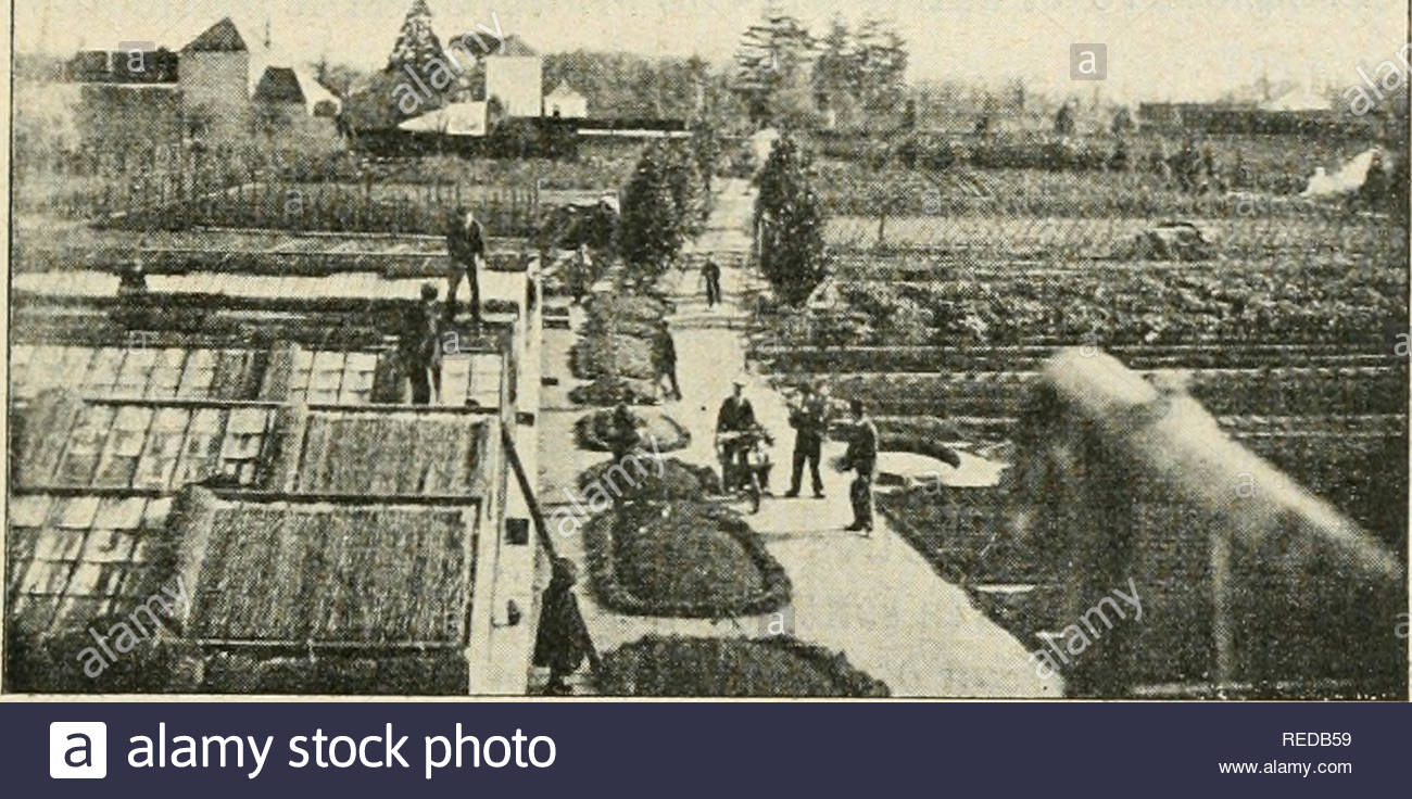 Fabriquer Une Serre De Jardin Pas Cher Beau Putation Stock S & Putation Stock Alamy