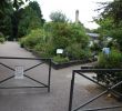 Fabriquer Une Serre De Jardin Pas Cher Nouveau Jardin Botanique De L Université De Strasbourg 2020 Ce Qu