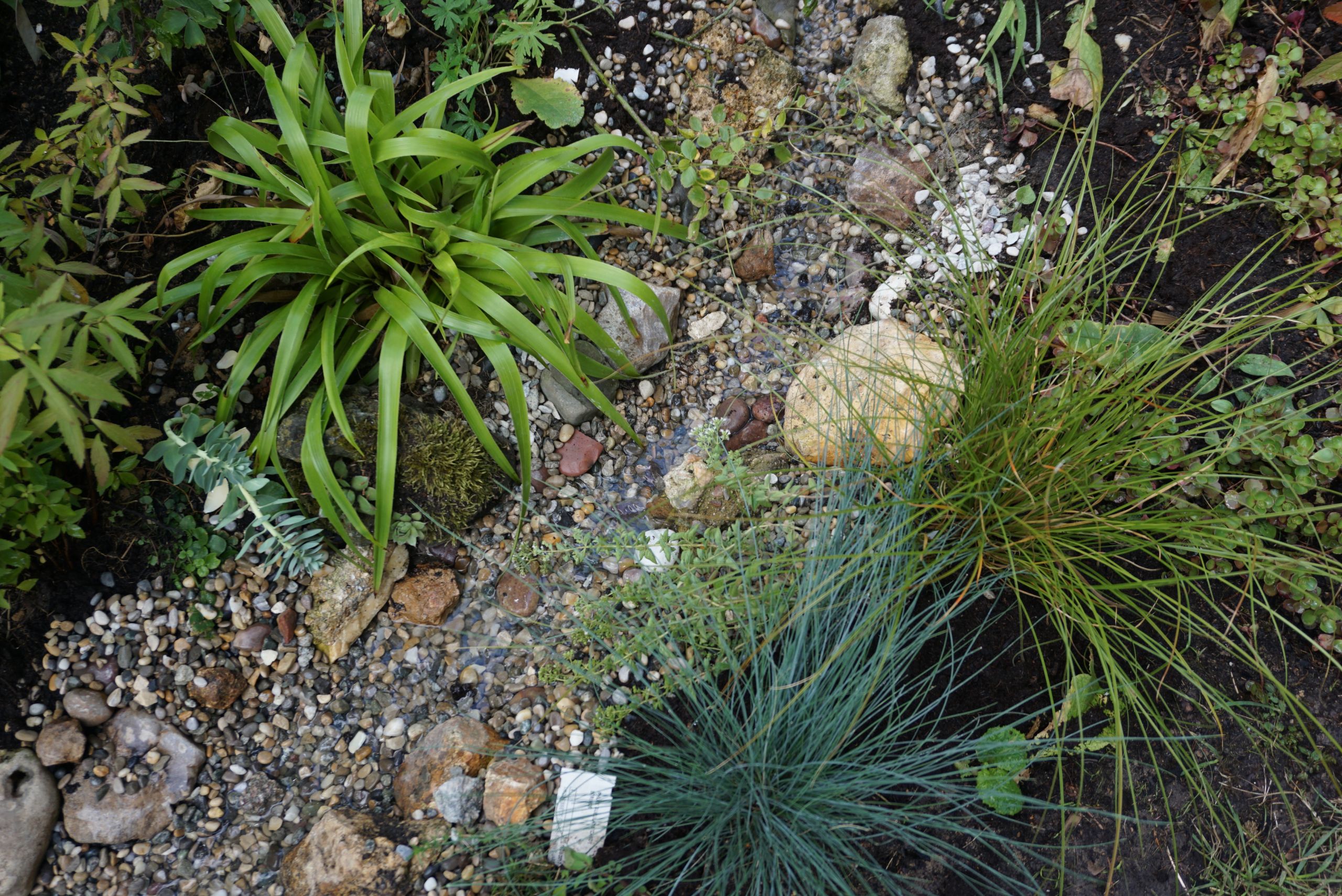 Faire Un Puit Dans son Jardin Beau Aménagement Et Décoration Page 10 Le Jardin De Patou