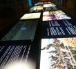 Faire Une Allée De Jardin Best Of Museo Del Vino Pagos Del Rey Winy Fog