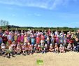 Faire Une Allée De Jardin Génial Stages En Arts   Habay