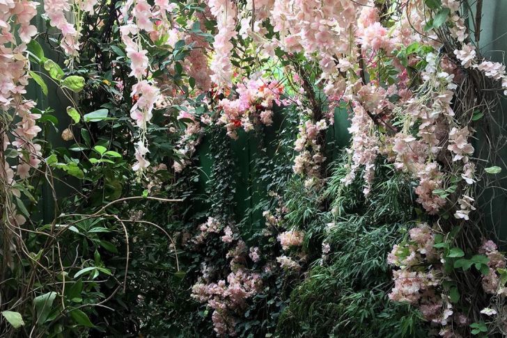 Fleurs Du Jardin Beau Fleur Flowers Flower Nature Fleurs Jardin Flor